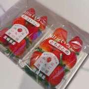 ヒメ日記 2025/12/12 20:04 投稿 羽奈（うな） NOA（ノア）