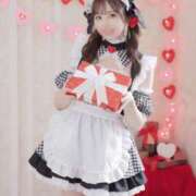 ヒメ日記 2026/02/14 12:05 投稿 羽奈（うな） NOA（ノア）