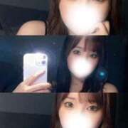 ヒメ日記 2026/03/11 23:31 投稿 羽奈（うな） NOA（ノア）