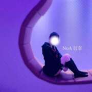 ヒメ日記 2026/04/03 08:09 投稿 羽奈（うな） NOA（ノア）