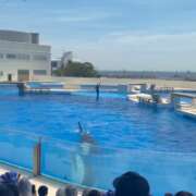 羽奈(うな) ぶっ飛び旅行記 NOA(ノア)