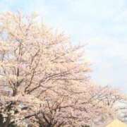 ヒメ日記 2025/03/06 14:30 投稿 貴子 出会い系人妻ネットワーク 上野〜大塚編