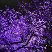 ヒメ日記 2025/12/26 13:38 投稿 貴子 出会い系人妻ネットワーク 上野〜大塚編