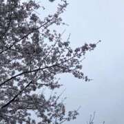 ヒメ日記 2025/03/31 14:02 投稿 小夜子 出会い系人妻ネットワーク 上野〜大塚編