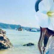 ヒメ日記 2025/08/29 02:00 投稿 れいな 出会い系人妻ネットワーク 上野〜大塚編