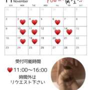 ヒメ日記 2025/10/26 10:48 投稿 れいな 出会い系人妻ネットワーク 上野〜大塚編