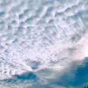 ヒメ日記 2025/11/01 14:55 投稿 れいな 出会い系人妻ネットワーク 上野〜大塚編