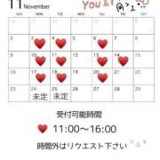 ヒメ日記 2025/11/10 11:22 投稿 れいな 出会い系人妻ネットワーク 上野〜大塚編