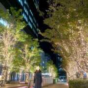 ヒメ日記 2025/12/06 01:02 投稿 れいな 出会い系人妻ネットワーク 上野〜大塚編