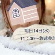 ヒメ日記 2026/01/13 12:09 投稿 れいな 出会い系人妻ネットワーク 上野〜大塚編