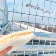 ヒメ日記 2026/02/20 20:42 投稿 れいな 出会い系人妻ネットワーク 上野〜大塚編