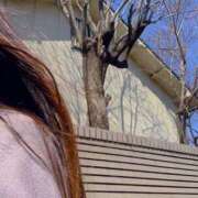 ヒメ日記 2026/03/05 19:00 投稿 れいな 出会い系人妻ネットワーク 上野〜大塚編