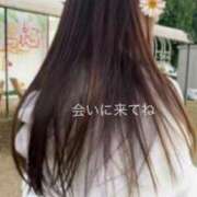 ヒメ日記 2026/03/09 01:51 投稿 れいな 出会い系人妻ネットワーク 上野〜大塚編