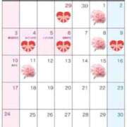 ヒメ日記 2026/04/24 08:53 投稿 れいな 出会い系人妻ネットワーク 上野〜大塚編