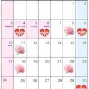 ヒメ日記 2026/05/11 21:32 投稿 れいな 出会い系人妻ネットワーク 上野〜大塚編