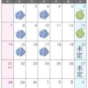 ヒメ日記 2026/05/19 23:15 投稿 れいな 出会い系人妻ネットワーク 上野〜大塚編