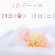 ヒメ日記 2026/05/22 00:44 投稿 れいな 出会い系人妻ネットワーク 上野〜大塚編