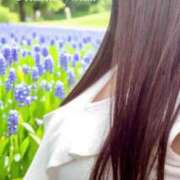 ヒメ日記 2026/09/11 12:17 投稿 れいな 出会い系人妻ネットワーク 上野〜大塚編