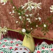 咲 こんばんは 出会い系人妻ネットワーク 上野〜大塚編