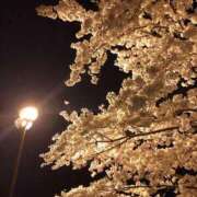 ヒメ日記 2025/03/27 21:14 投稿 まみ 出会い系人妻ネットワーク 上野〜大塚編