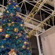 ヒメ日記 2025/12/19 23:45 投稿 まみ 出会い系人妻ネットワーク 上野〜大塚編