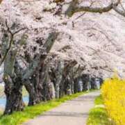 ヒメ日記 2026/03/29 13:04 投稿 まみ 出会い系人妻ネットワーク 上野〜大塚編