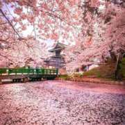 ヒメ日記 2026/04/02 13:47 投稿 まみ 出会い系人妻ネットワーク 上野〜大塚編