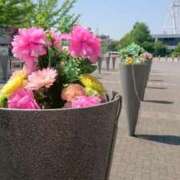 ヒメ日記 2026/04/16 13:00 投稿 まみ 出会い系人妻ネットワーク 上野〜大塚編