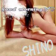 ヒメ日記 2025/03/30 11:07 投稿 月瀬　しの エテルナ彦根