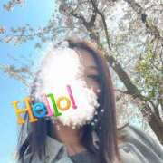 ヒメ日記 2025/04/17 11:29 投稿 月瀬　しの エテルナ彦根