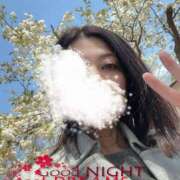 ヒメ日記 2025/04/18 00:15 投稿 月瀬　しの エテルナ彦根