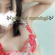 ヒメ日記 2026/01/18 08:02 投稿 月瀬　しの エテルナ彦根