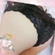 ヒメ日記 2025/03/26 07:30 投稿 すみれ マダム可憐