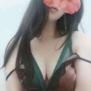 ヒメ日記 2025/11/28 07:40 投稿 すみれ マダム可憐