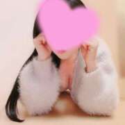 ヒメ日記 2026/01/19 07:40 投稿 すみれ マダム可憐