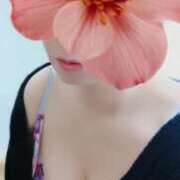 ヒメ日記 2026/03/11 10:49 投稿 すみれ マダム可憐