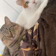 ヒメ日記 2026/02/22 11:13 投稿 しずく 大高・大府市・東海市ちゃんこ