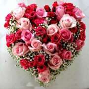 ヒメ日記 2024/12/14 09:20 投稿 りな 妻天 尼崎店