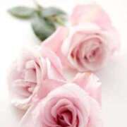 ヒメ日記 2025/01/25 08:06 投稿 りな 妻天 尼崎店