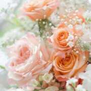 ヒメ日記 2025/05/03 11:13 投稿 りな 妻天 尼崎店