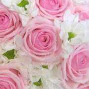 ヒメ日記 2025/07/19 06:10 投稿 りな 妻天 尼崎店