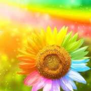 ヒメ日記 2025/07/22 11:54 投稿 りな 妻天 尼崎店