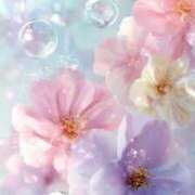 ヒメ日記 2025/11/01 12:50 投稿 りな 妻天 尼崎店