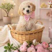 ヒメ日記 2026/03/29 10:09 投稿 りな 妻天 尼崎店