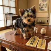 ヒメ日記 2026/04/02 10:41 投稿 りな 妻天 尼崎店