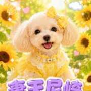 ヒメ日記 2026/07/10 10:06 投稿 りな 妻天 尼崎店
