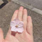 ヒメ日記 2025/04/01 21:38 投稿 乃風りょう 聖リッチ女学園