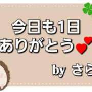 ヒメ日記 2023/08/25 01:00 投稿 さら 和歌山ちゃんこ