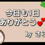 ヒメ日記 2024/11/19 00:03 投稿 さら 和歌山ちゃんこ