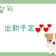 ヒメ日記 2024/12/21 23:18 投稿 さら 和歌山ちゃんこ